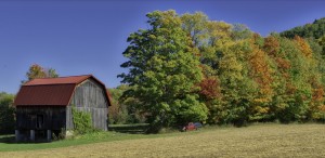 White Church Farm